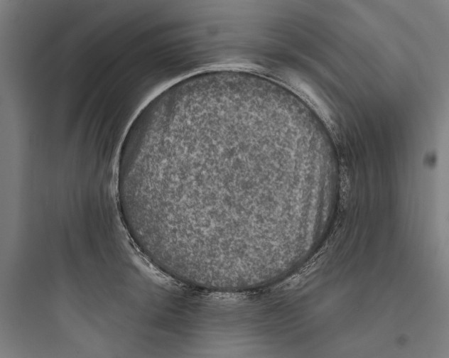 X0000093741044200711061019