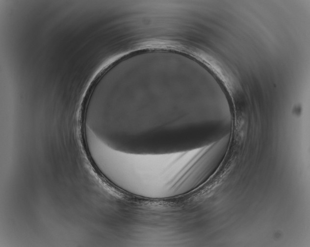 X0000093741045200711061019