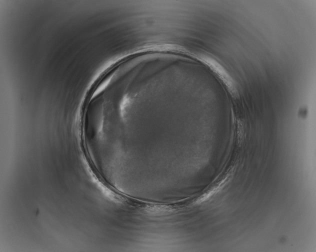 X0000093741046200711061019