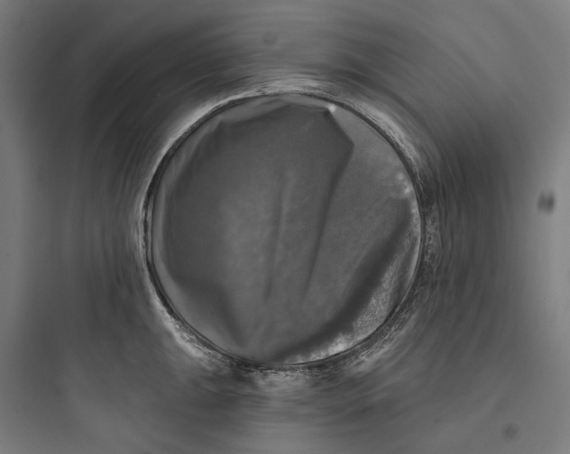 X0000093741047200711061019