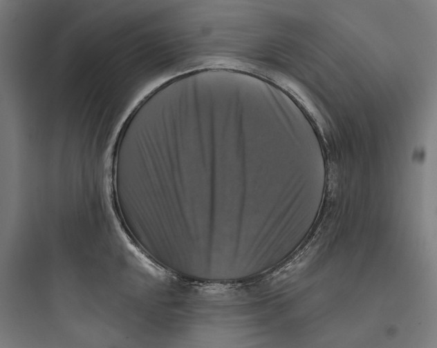 X0000093741048200711061019