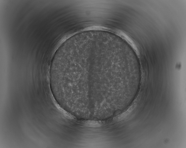 X0000093741049200711061019