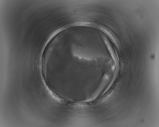 X0000093741050200711061019