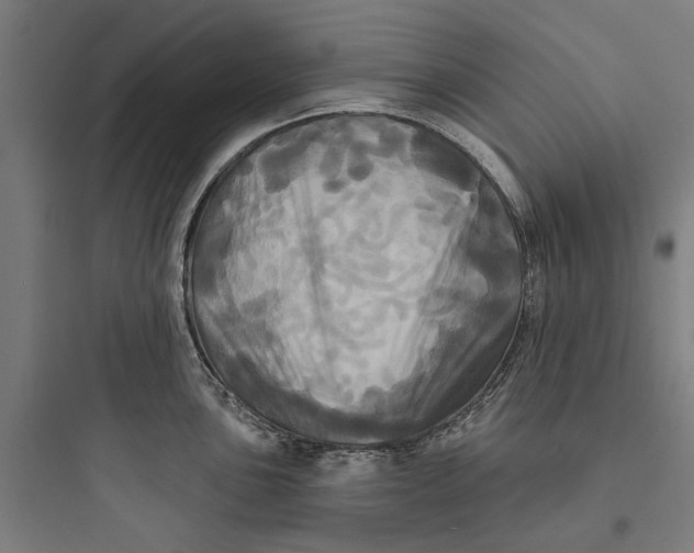 X0000093741051200711061019