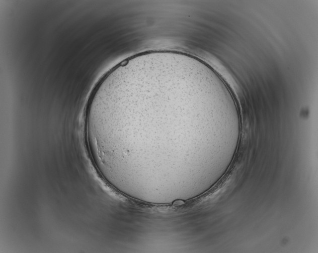 X0000093741053200711061019