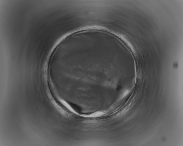 X0000093741054200711061019