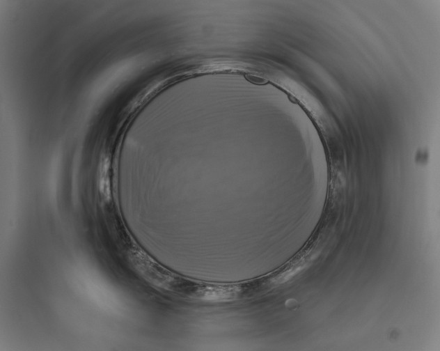 X0000093741055200711061019