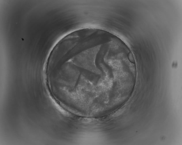 X0000093741056200711061019