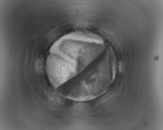 X0000093741059200711061018