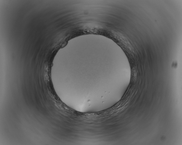 X0000093741060200711061018