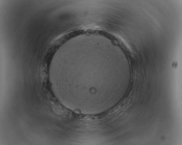 X0000093741063200711061018