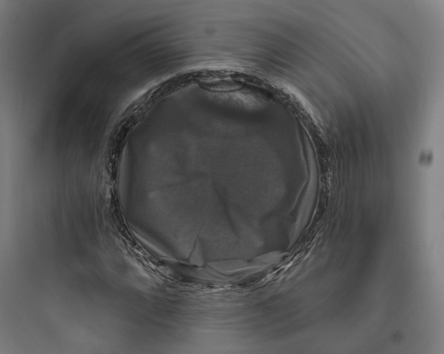 X0000093741064200711061018