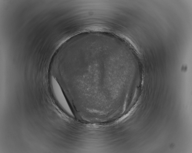 X0000093741065200711061018