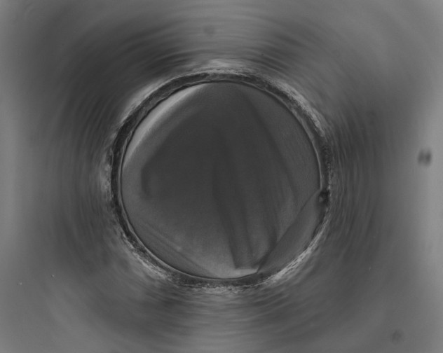 X0000093741066200711061018