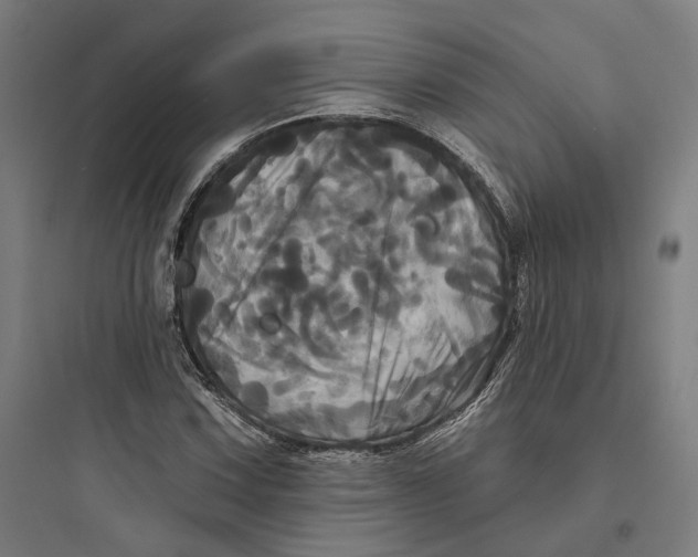 X0000093741067200711061018