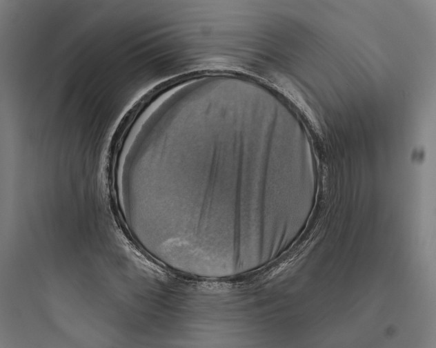 X0000093741068200711061018