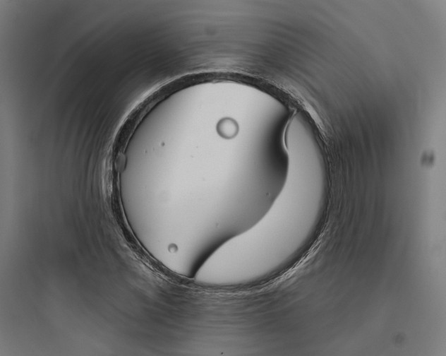 X0000093741069200711061018