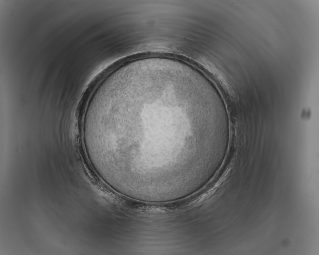 X0000093741070200711061018