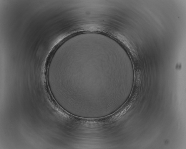 X0000093741071200711061018