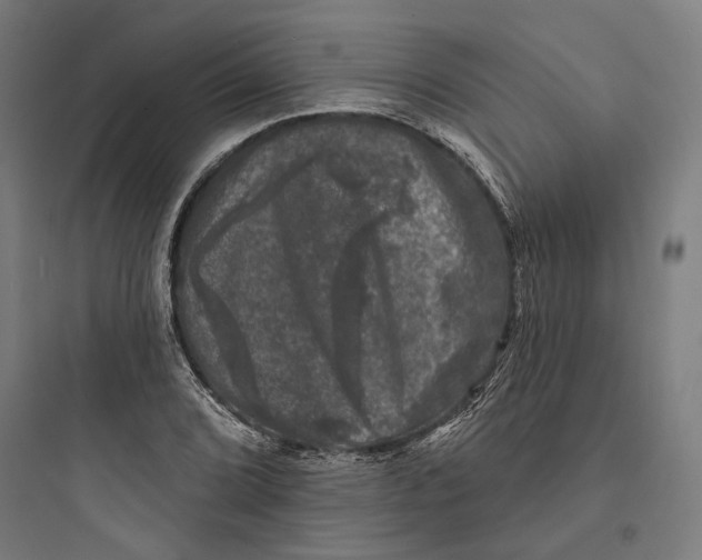 X0000093741072200711061018