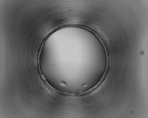 X0000093741073200711061018