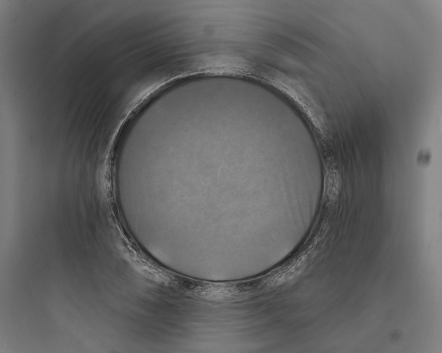 X0000093741074200711061018