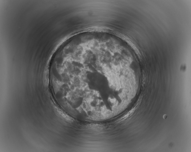 X0000093741075200711061018