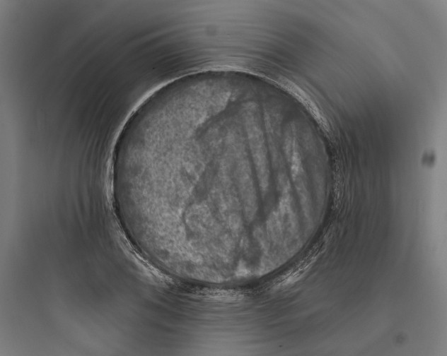 X0000093741076200711061018