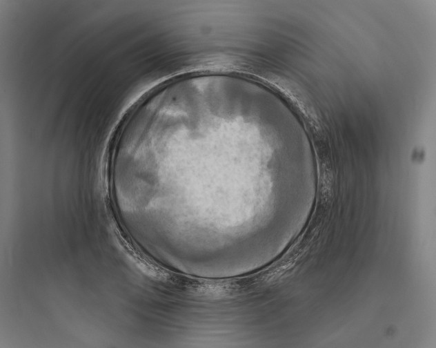 X0000093741078200711061018