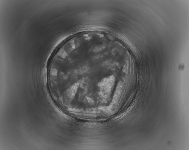 X0000093741079200711061018