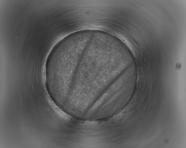 X0000093741080200711061018