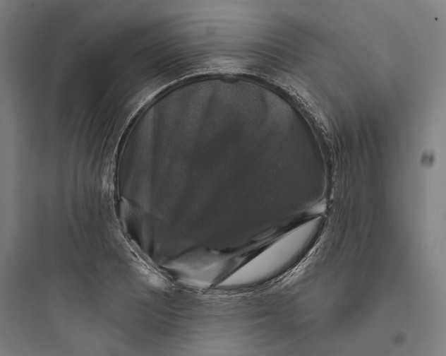 X0000093741081200711061018