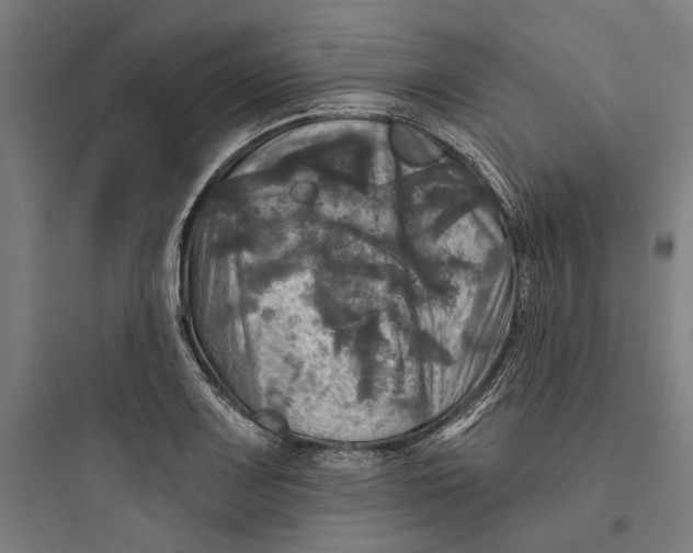 X0000093741083200711061018