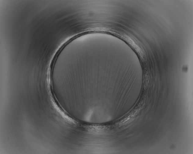 X0000093741084200711061018