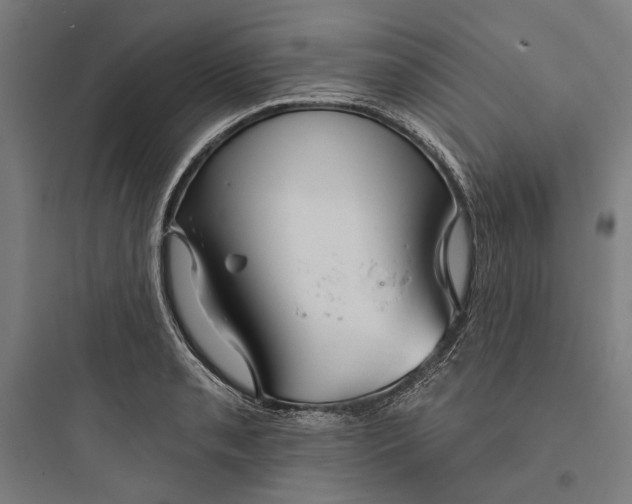 X0000093741085200711061018