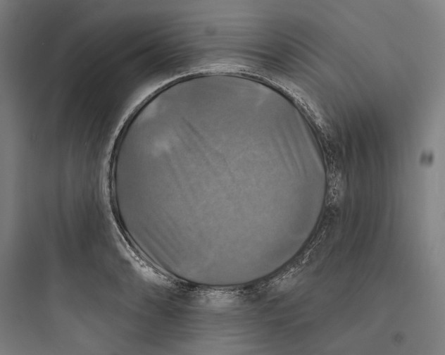 X0000093741086200711061018