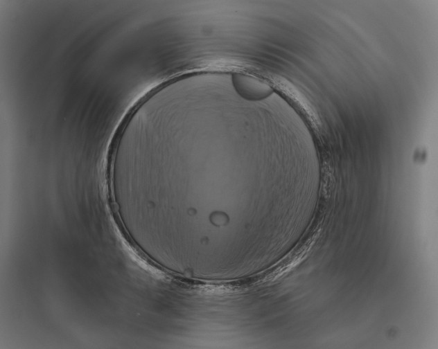 X0000093741087200711061018