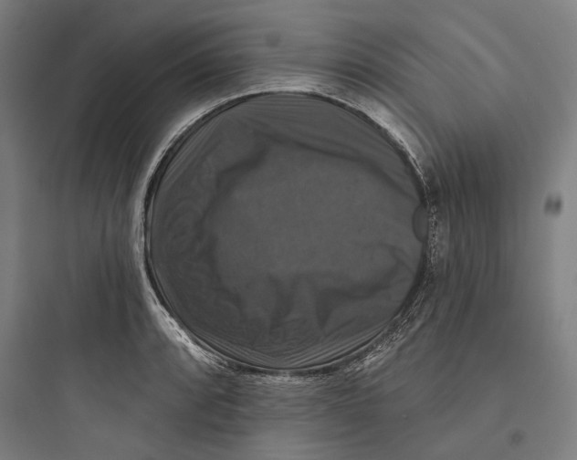 X0000093741088200711061018