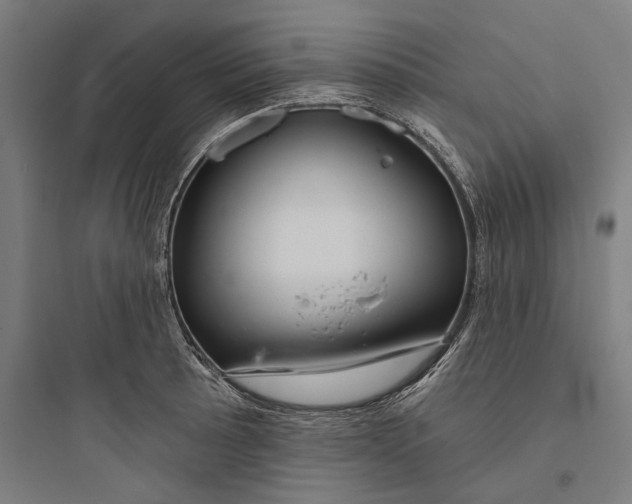 X0000093741089200711061018