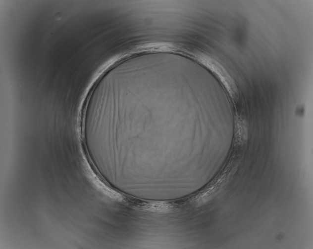 X0000093741090200711061018