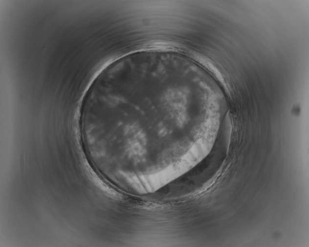 X0000093741091200711061018