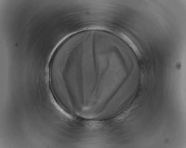 X0000093741092200711061018