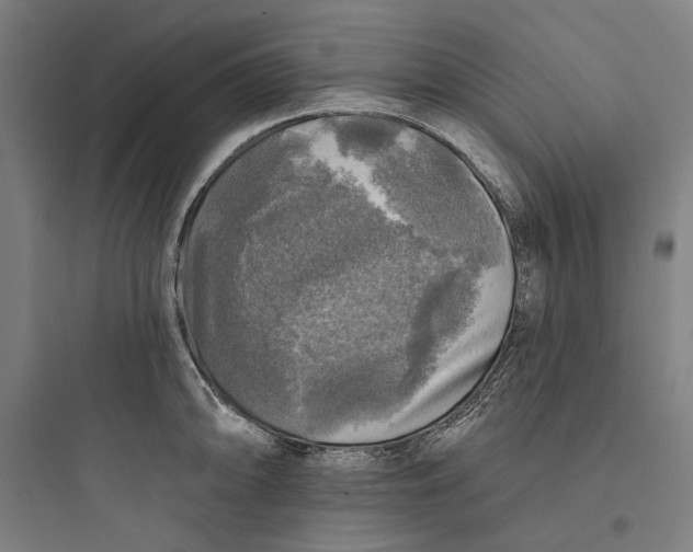 X0000093741094200711061018