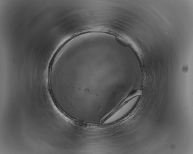 X0000093741095200711061018