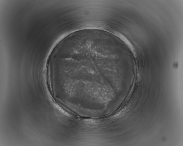 X0000093741096200711061018