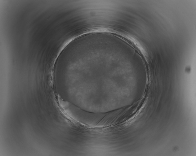 X0000093741097200711061018