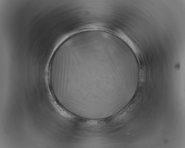 X0000093741098200711061018