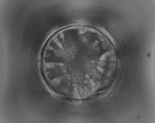 X0000093741099200711061018