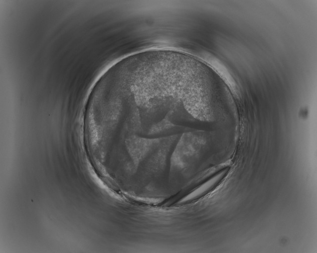 X0000093741100200711061018