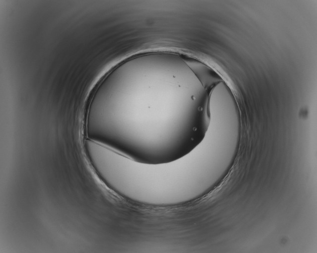 X0000093741101200711061018